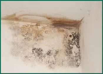 Margate Emergency Restoration Margate, FL 954-488-2959