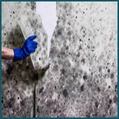 Margate Emergency Restoration Margate, FL 954-488-2959